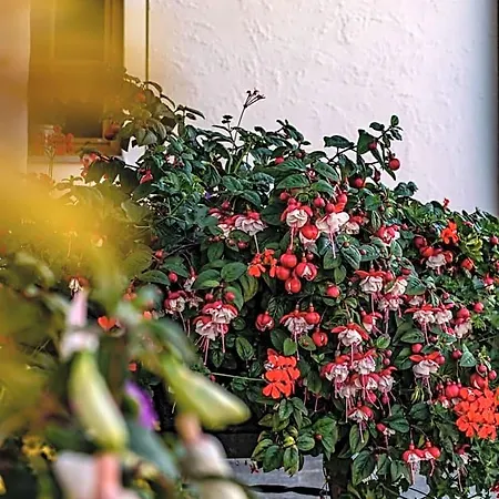 Biobauernhof Gast Mariapfarr