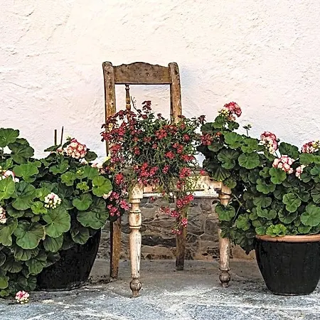 Apartment Biobauernhof Gast