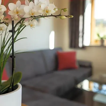 Biobauernhof Gast Apartment