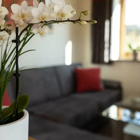 Apartment Biobauernhof Gast