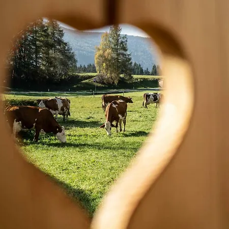 公寓 Biobauernhof Gast 玛利亚普法尔