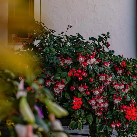 Apartment Biobauernhof Gast *