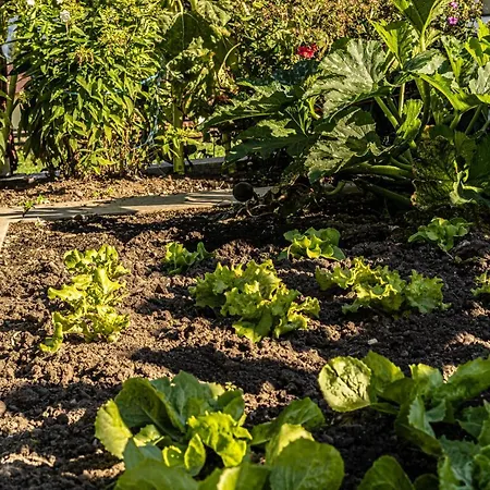 Biobauernhof Gast 公寓 *